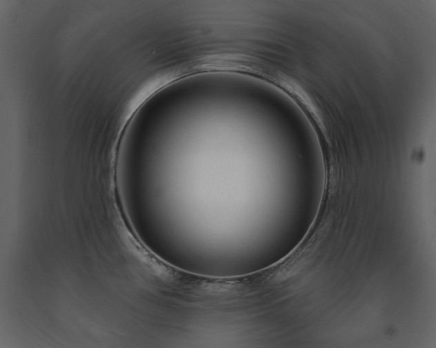 X0000091671386200708231319