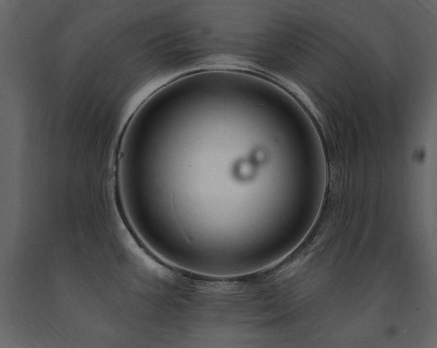 X0000091671387200708231319