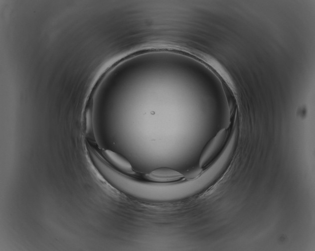 X0000091671388200708231319