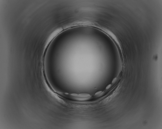 X0000091671389200708231319