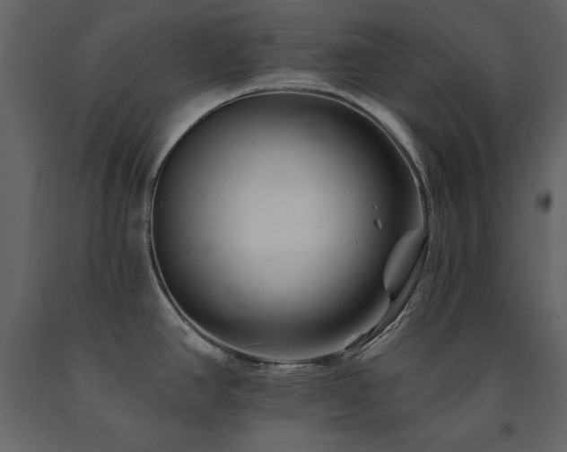 X0000091671390200708231319