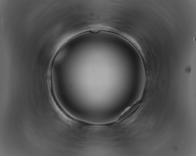 X0000091671391200708231319