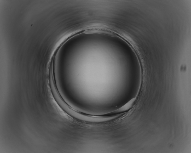 X0000091671392200708231319