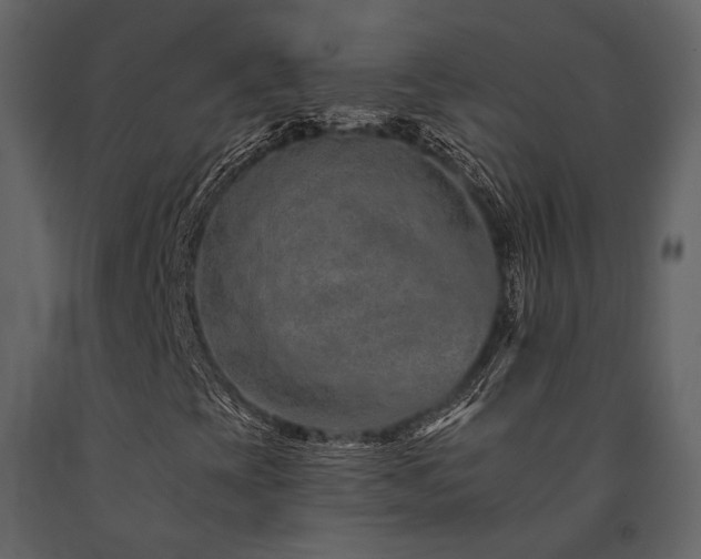 X0000091671393200708231318