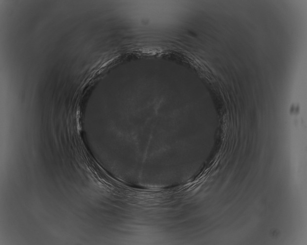 X0000091671394200708231318