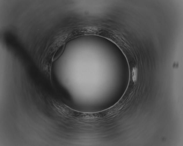 X0000091671395200708231318