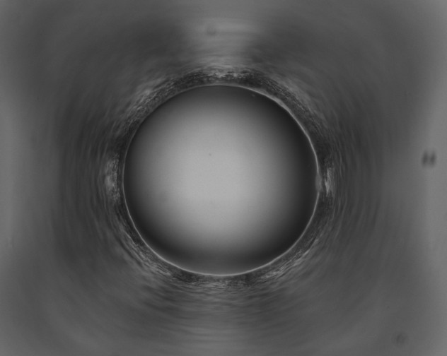 X0000091671396200708231318
