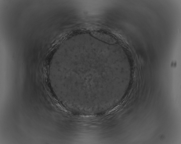 X0000091671397200708231318