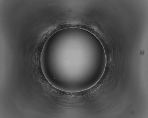 X0000091671398200708231318