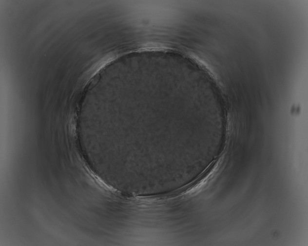 X0000091671401200708231318