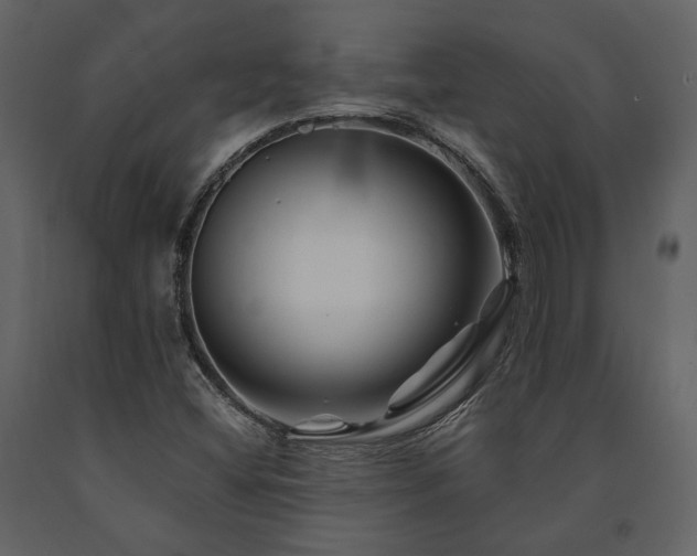 X0000091671404200708231318