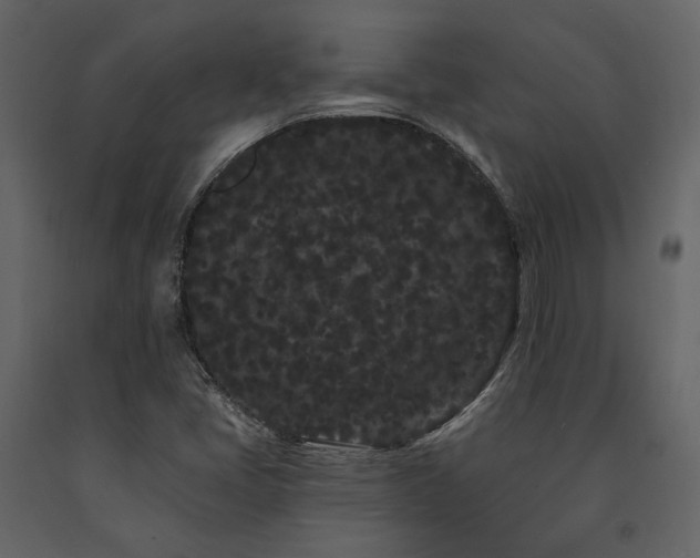 X0000091671405200708231318