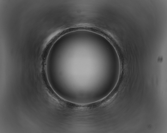 X0000091671406200708231318