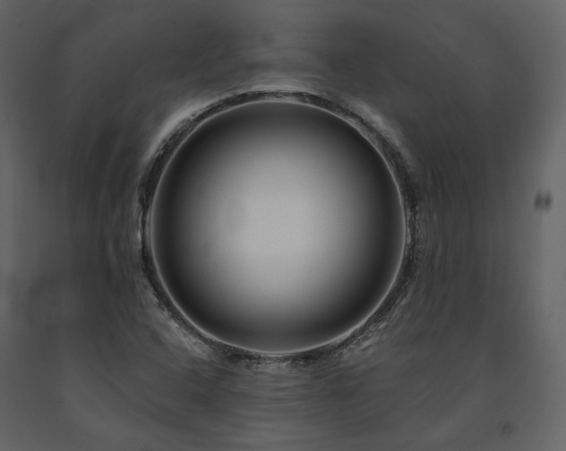X0000091671408200708231318