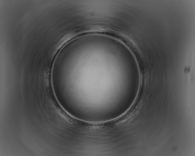 X0000091671409200708231318
