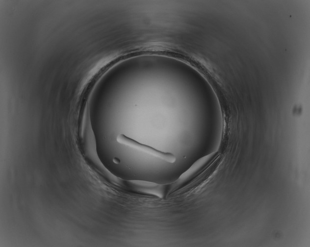 X0000091671410200708231318