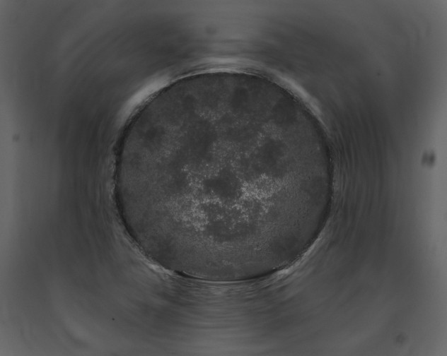 X0000091671411200708231318