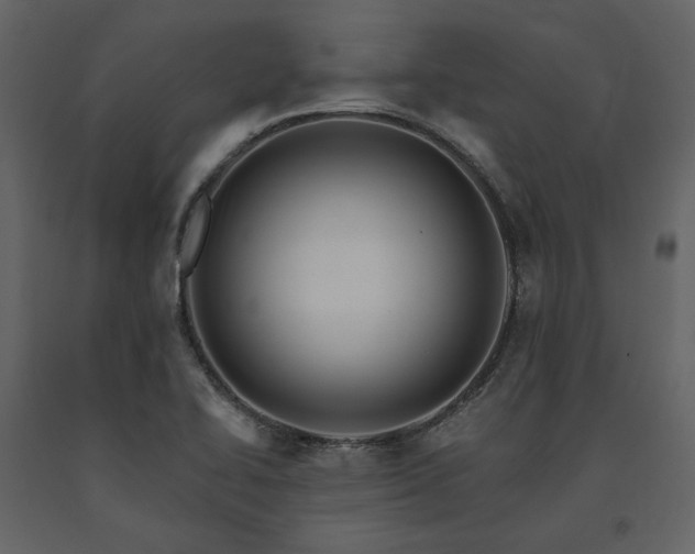 X0000091671414200708231318