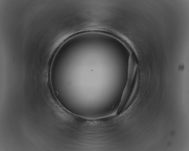 X0000091671415200708231318