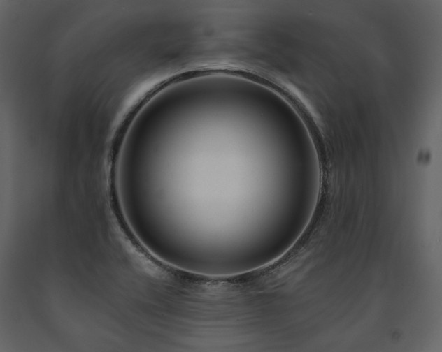 X0000091671416200708231318