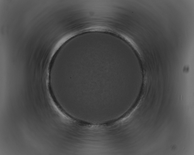 X0000091671418200708231318