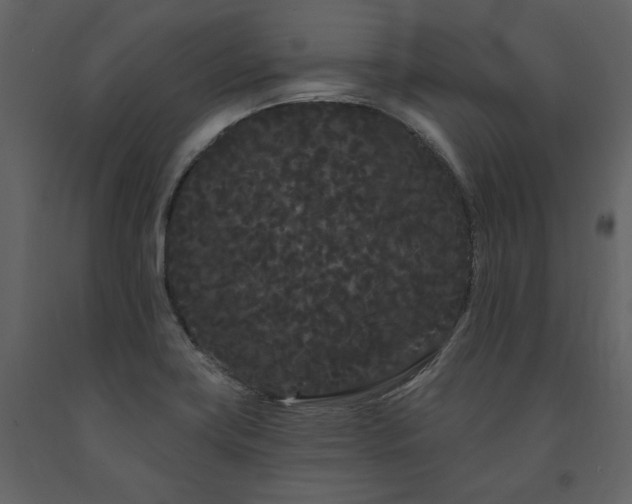X0000091671419200708231319