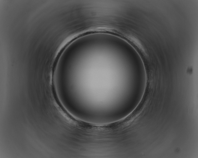 X0000091671420200708231319