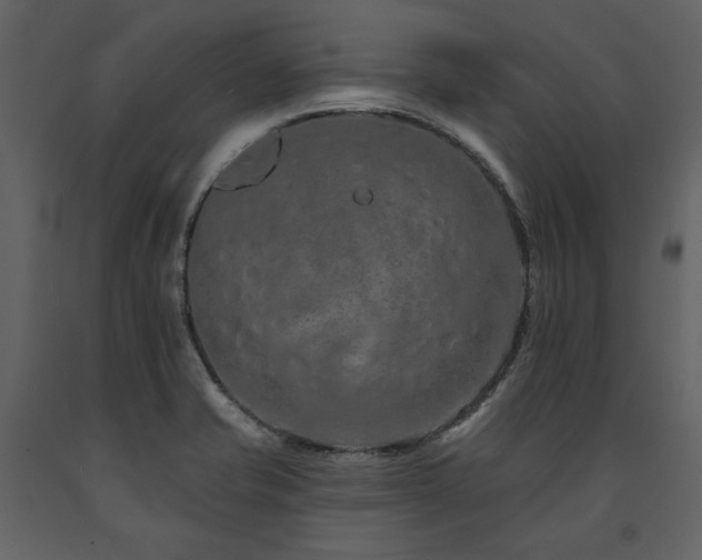 X0000091671421200708231319