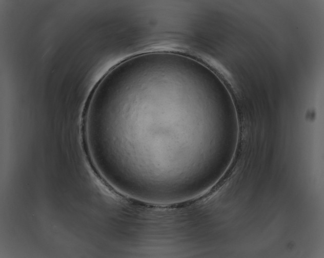 X0000091671423200708231319