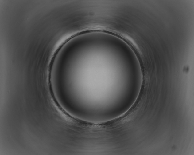 X0000091671424200708231319