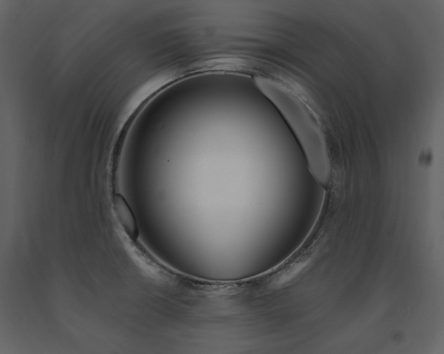 X0000091671426200708231319