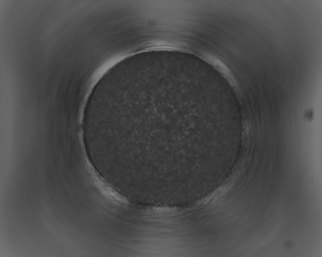 X0000091671427200708231319