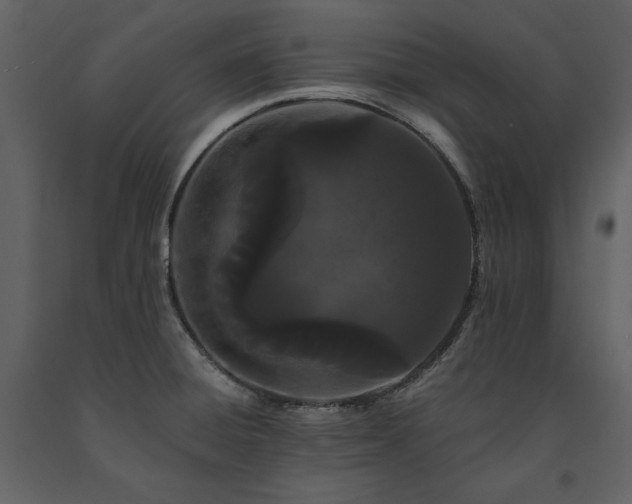 X0000091671428200708231319