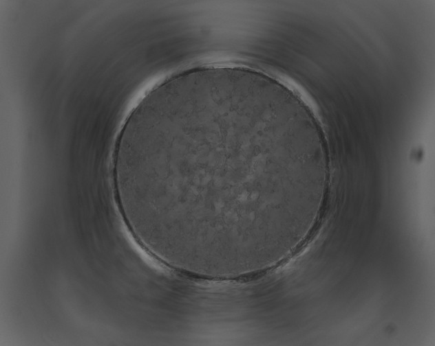 X0000091671429200708231319