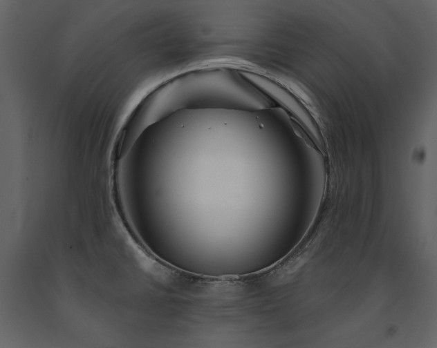 X0000091671430200708231319