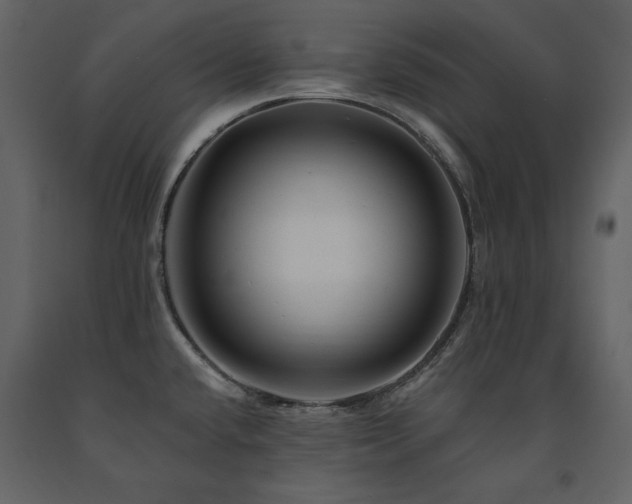 X0000091671432200708231319