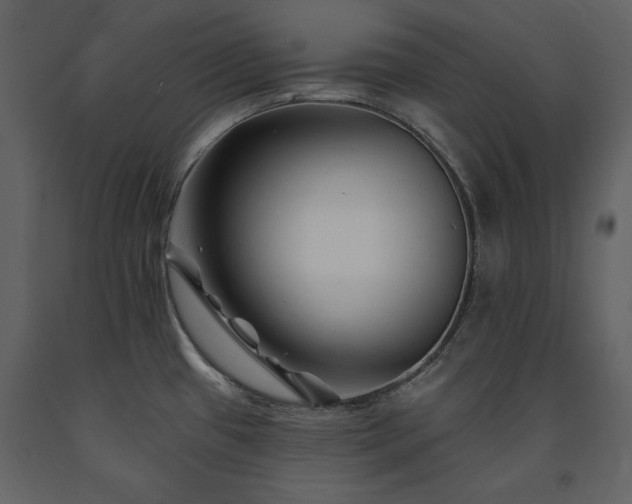 X0000091671433200708231319