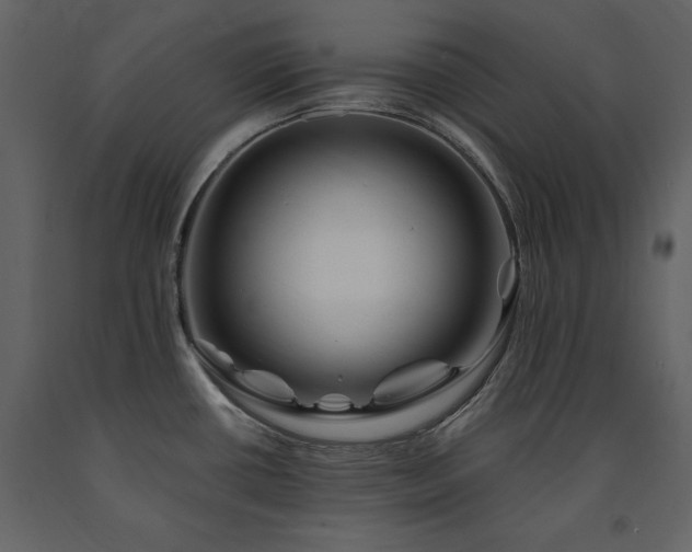 X0000091671434200708231319