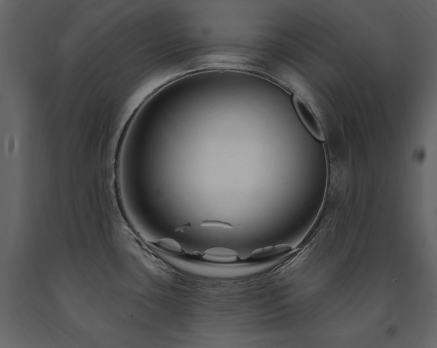 X0000091671435200708231319