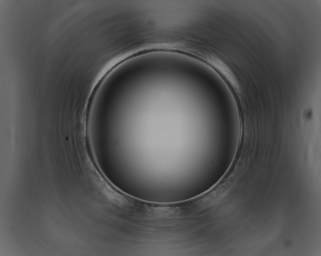X0000091671436200708231319