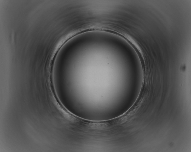 X0000091671437200708231319