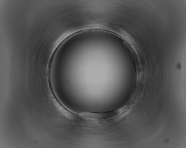 X0000091671438200708231319