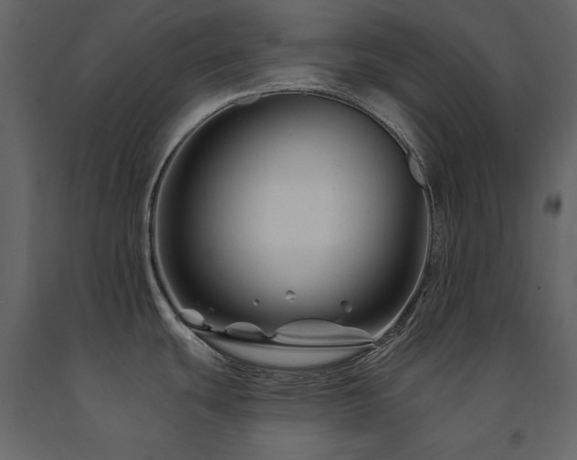 X0000091671439200708231319