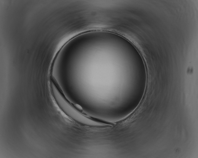 X0000091671440200708231319