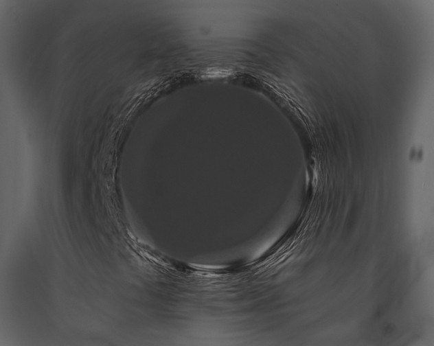 X0000091671441200708231318