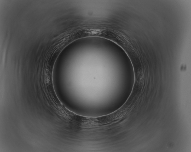 X0000091671442200708231318