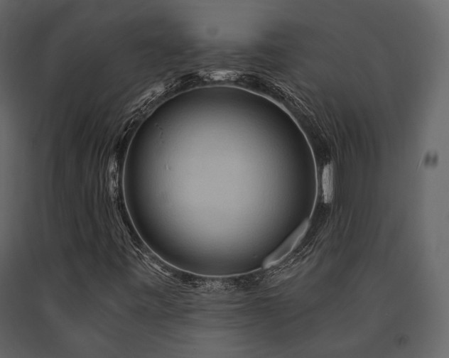 X0000091671443200708231318
