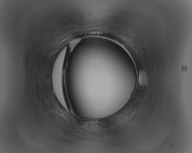 X0000091671444200708231318