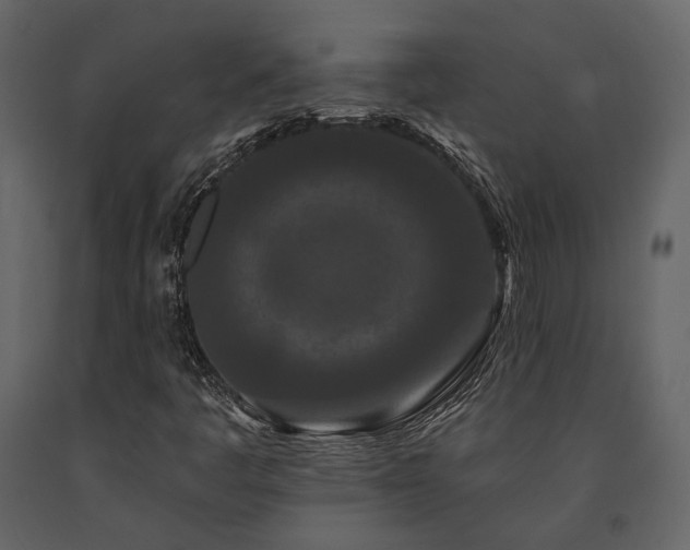 X0000091671445200708231318