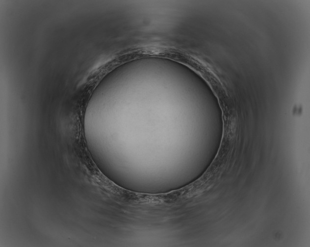 X0000091671446200708231318